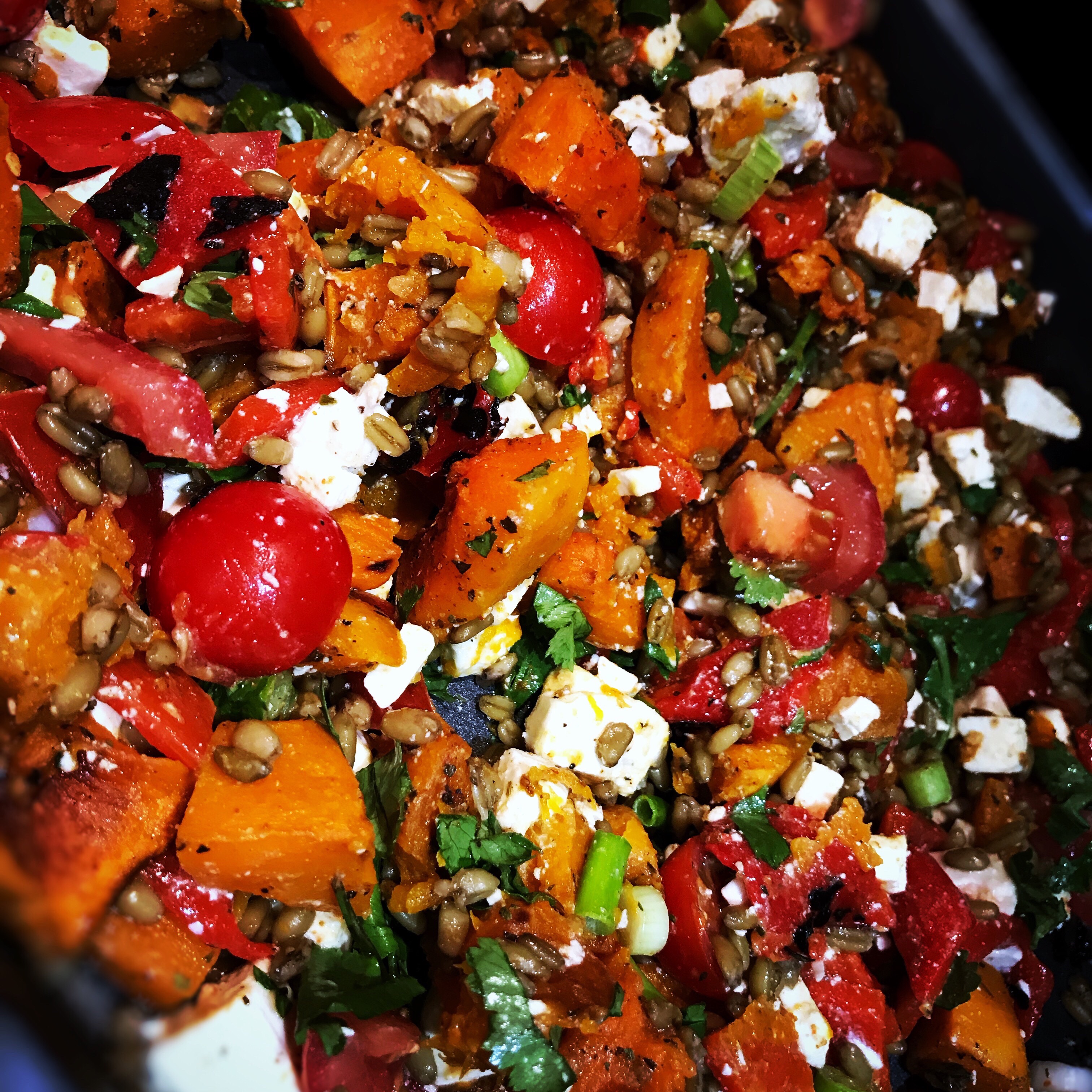 Moroccan Roasted Butternut, Freekeh and Feta Salad – 4sp